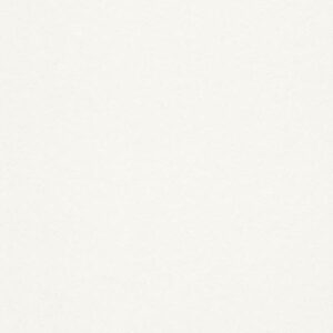 Rasch | Club | 140200 | Vliestapete | Einfarbig | Uni | 0.53 x 10.05 m | Weiß