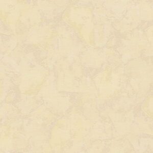 A.S. Creation | Styleguide Natürlich | 169020 | Vliestapete | Uni | 0.53 x 10...