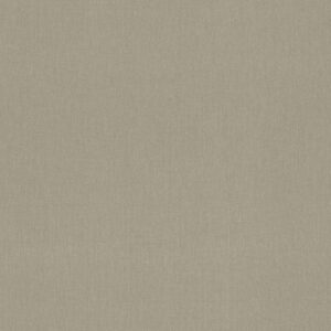 A.S. Creation | Elegance | 211712 | Vliestapete | Einfarbig | Uni | 0.53 x 10...