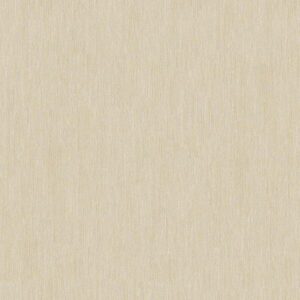 A.S. Creation | AP Longlife Colours | 301392 | Vliestapete | Einfarbig | 1.6 ...