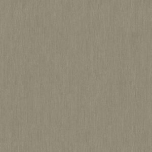 A.S. Creation | AP Longlife Colours | 301393 | Vliestapete | Einfarbig | 1.6 ...