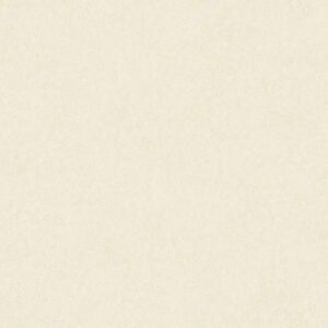 A.S. Creation | AP Longlife Colours | 301401 | Vliestapete | Einfarbig | 1.6 ...