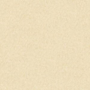 A.S. Creation | AP Longlife Colours | 301402 | Vliestapete | Einfarbig | 1.6 ...