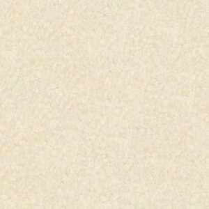 A.S. Creation | AP Longlife Colours | 301407 | Vliestapete | Einfarbig | 1.6 ...