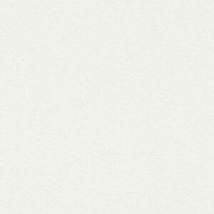 A.S. Creation Meistervlies 5 | 301561 | Vliestapete Einfarbig | 0.53 m x 10.0...
