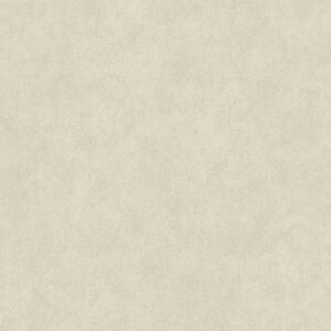 A.S. Creation | Elegance 3 | 301757 | Vliestapete | Einfarbig | Uni | 0.53 x ...
