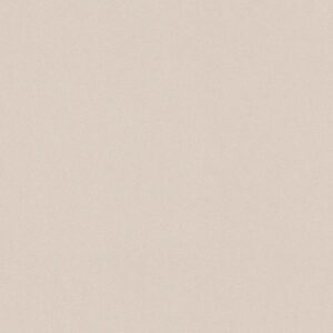 A.S. Creation | Life 3 | 303226 | Vliestapete | Einfarbig | Uni | 0.53 x 10.0...