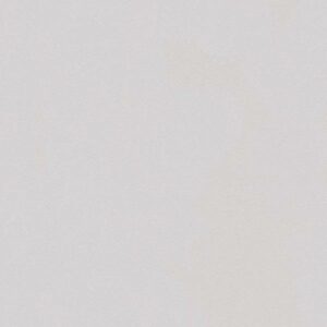 A.S. Creation | Spot 2 | 303257 | Vliestapete | Einfarbig | Uni | 0.53 x 10.0...