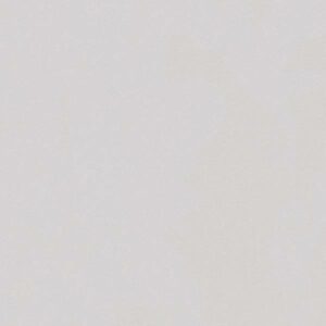 A.S. Creation | New Life | 303257 | Vliestapete | Einfarbig | Uni | 0.53 x 10...