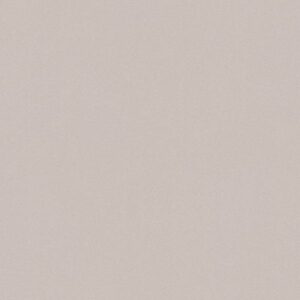 A.S. Creation | Spot 3 | 303288 | Vliestapete | Einfarbig | Uni | 0.53 x 10.0...