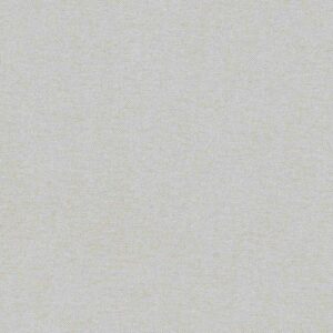 A.S. Creation | Elegance 3 | 304862 | Vliestapete | Einfarbig | Uni | 0.53 x ...