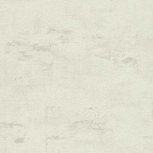 A.S. Creation | Beton Concrete & More | 306682 | Vliestapete | Uni | 0.53 x 1...