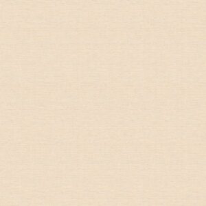 A.S. Creation | Björn | 306896 | Vliestapete | Einfarbig | Uni | 0.53 x 10.05...