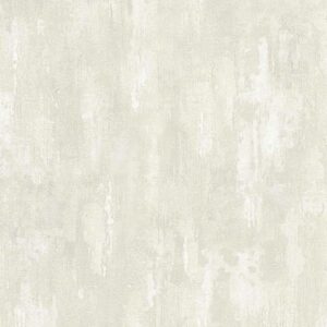 A.S. Creation | Beton Concrete & More | 306941 | Vliestapete | Uni | 0.53 x 1...