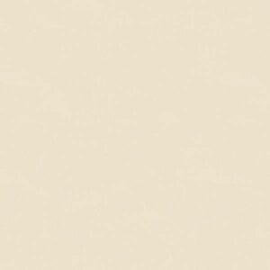A.S. Creation | AP Longlife Colours | 307255 | Vliestapete | Einfarbig | 1.6 ...