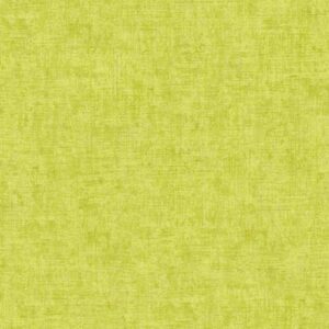 A.S. Creation | Borneo | 322615 | Vliestapete | Einfarbig | Uni | 0.53 x 10.0...
