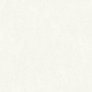 A.S. Creation | Meisterputz | 334442 | Vliestapete | Struktur | 0.53 x 15 m |...