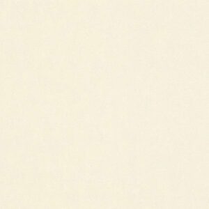 A.S. Creation | Castello | 335401 | Vliestapete | Einfarbig | Uni | 0.53 x 10...