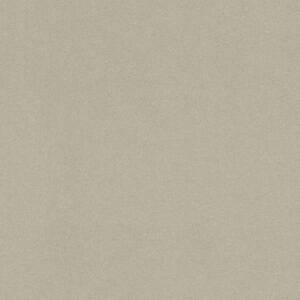 A.S. Creation | Castello | 335402 | Vliestapete | Einfarbig | Uni | 0.53 x 10...