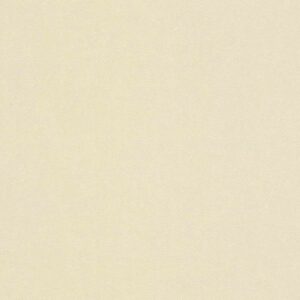 A.S. Creation | Castello | 335405 | Vliestapete | Einfarbig | Uni | 0.53 x 10...