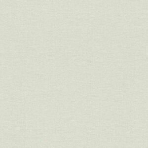 A.S. Creation | Designbook | 336095 | Vliestapete | Einfarbig | Uni | 0.53 x ...