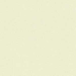 A.S. Creation | Designbook | 336096 | Vliestapete | Einfarbig | Uni | 0.53 x ...