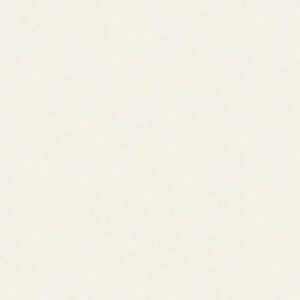 A.S. Creation | Designdschungel 2 by Laura N. | 347237 | Vliestapete | Uni | ...
