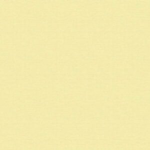 A.S. Creation | Björn | 353214 | Vliestapete | Einfarbig | Uni | 0.53 x 10.05...