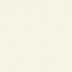 A.S. Creation | Boys & Girls 6 | 355669 | Vliestapete | Einfarbig | 0.53 x 10...