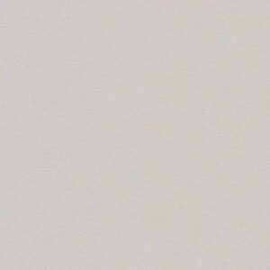 A.S. Creation | New Life | 356529 | Vliestapete | Einfarbig | Uni | 0.53 x 10...