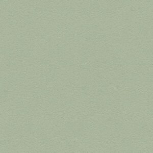 A.S. Creation | Neue Bude 2.0 | 361883 | Vliestapete | Einfarbig | Uni | 0.53...