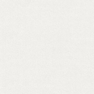 A.S. Creation | Neue Bude 2.0 | 361885 | Vliestapete | Einfarbig | Uni | 0.53...