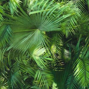 A.S. Creation | Neue Bude 2.0 | 362001 | Vliestapete | Naturoptik | 0.53 x 10...