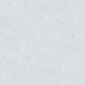 A.S. Creation | Beton Concrete & More | 362063 | Vliestapete | Uni | 0.53 x 1...