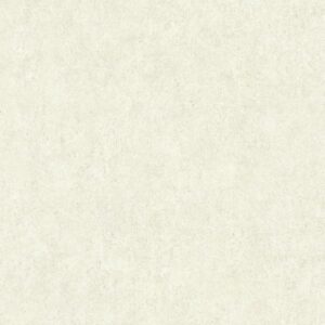 A.S. Creation | Materials | 362072 | Vliestapete | Betonoptik | 0.53 x 10.05 ...