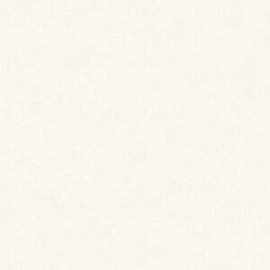 A.S. Creation | Paradise Garden | 367201 | Vliestapete | Einfarbig | 0.53 x 1...