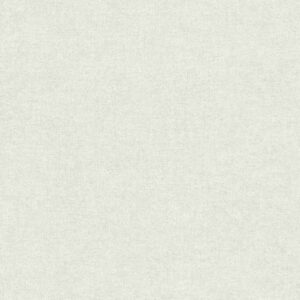 A.S. Creation | Paradise Garden | 367204 | Vliestapete | Einfarbig | 0.53 x 1...