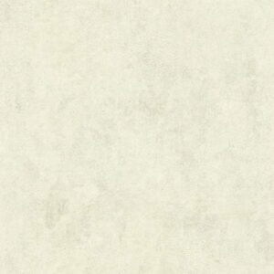 A.S. Creation | New Walls | 374252 | Vliestapete | Betonoptik | 0.53 x 10.05 ...