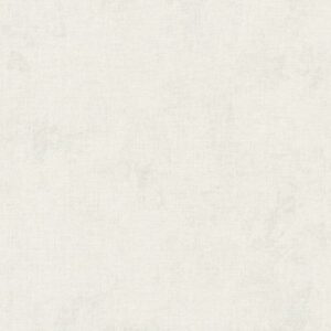 A.S. Creation | New Walls | 374307 | Vliestapete | Betonoptik | 0.53 x 10.05 ...