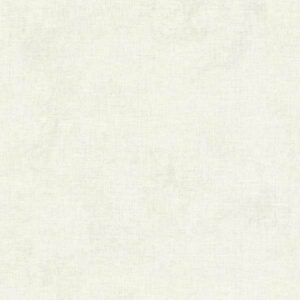 A.S. Creation | New Walls | 374311 | Vliestapete | Betonoptik | 0.53 x 10.05 ...