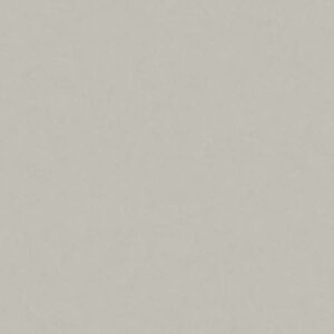 A.S. Creation | New Life | 376954 | Vliestapete | Einfarbig | Uni | 0.53 x 10...