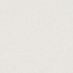 A.S. Creation | Industrial | 377449 | Vliestapete | Einfarbig | Uni | 0.53 x ...