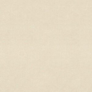 Rasch | Vincenza | 467147 | Vliestapete | Einfarbig | Uni | 0.53 x 10.05 m | ...