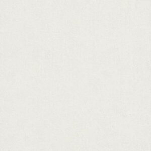 Rasch | Wall Textures Vol. III | 489804 | Vliestapete | Einfarbig | 0.53 x 10...