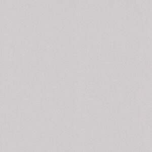 A.S. Creation | Styleguide Jung | 938626 | Vliestapete | Einfarbig | 0.53 x 1...