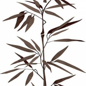 A.S. Creation | Pop Up Panels | 942732 | Folietapete | Naturoptik | 0.35 x 2....