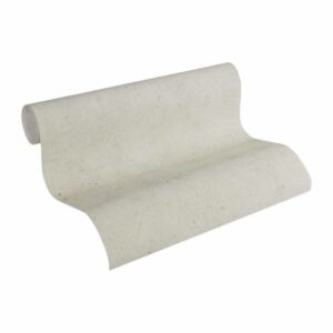 A.S. Creation | Beton Concrete & More | 952591 | Vliestapete | Uni | 0.53 x 1...