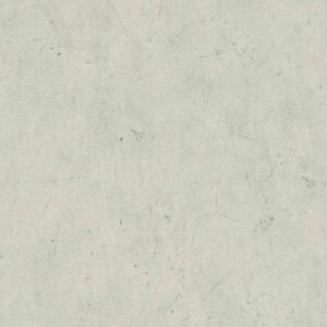 A.S. Creation | Elements | 952591 | Vliestapete | Betonoptik | 0.53 x 10.05 m...