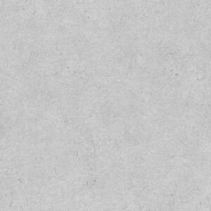 A.S. Creation | Beton Concrete & More | 952592 | Vliestapete | Uni | 0.53 x 1...