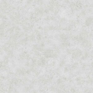 A.S. Creation | Meistervlies 5 | 960055 | Vliestapete | Einfarbig | 0.53 x 10...